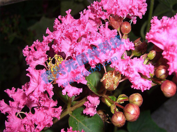 c鿴ԔϢ(bio)}ޱ xΔ(sh)1735